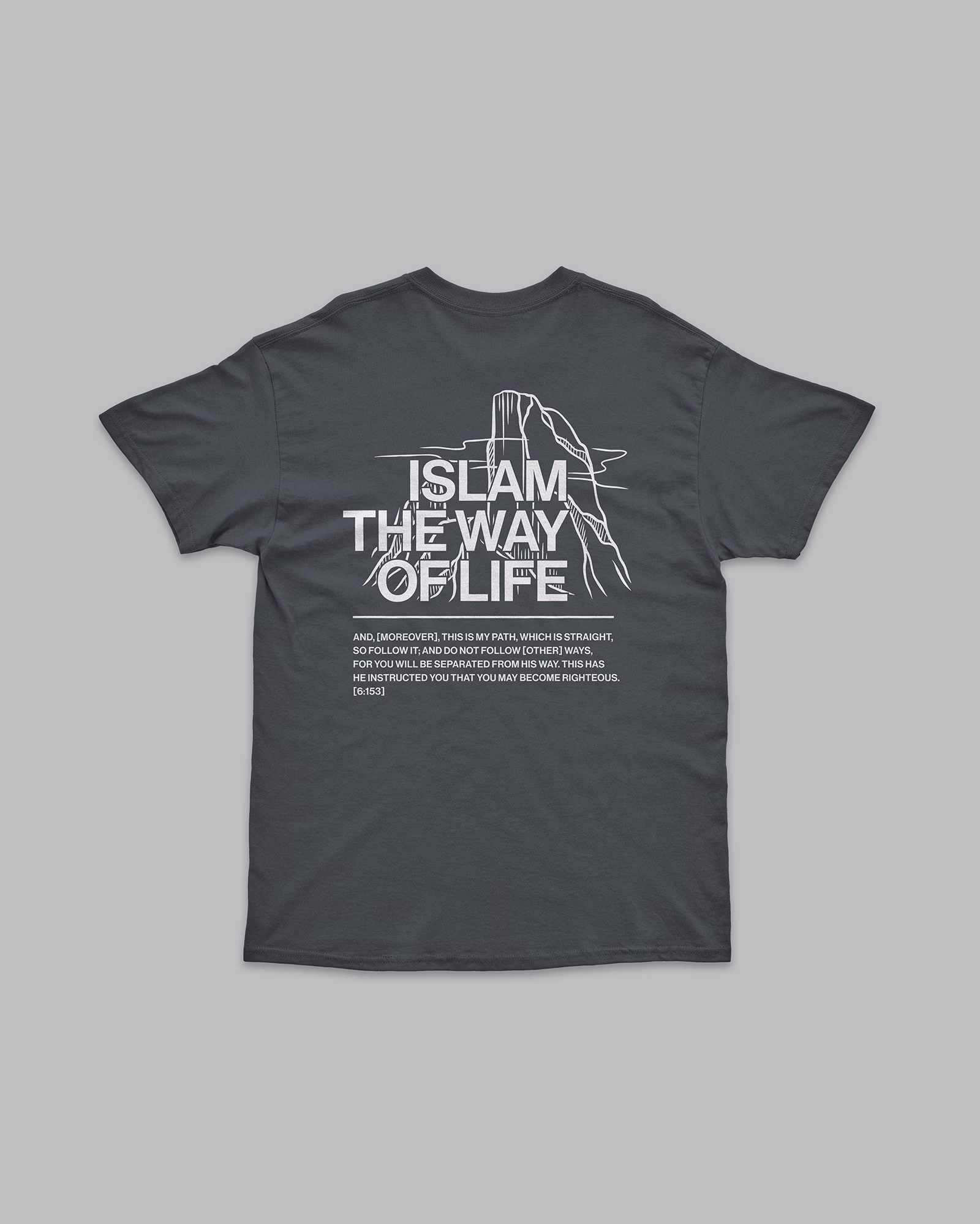 ITWOL Tee - Grey - Short Sleeve - Back - Flat - v1
