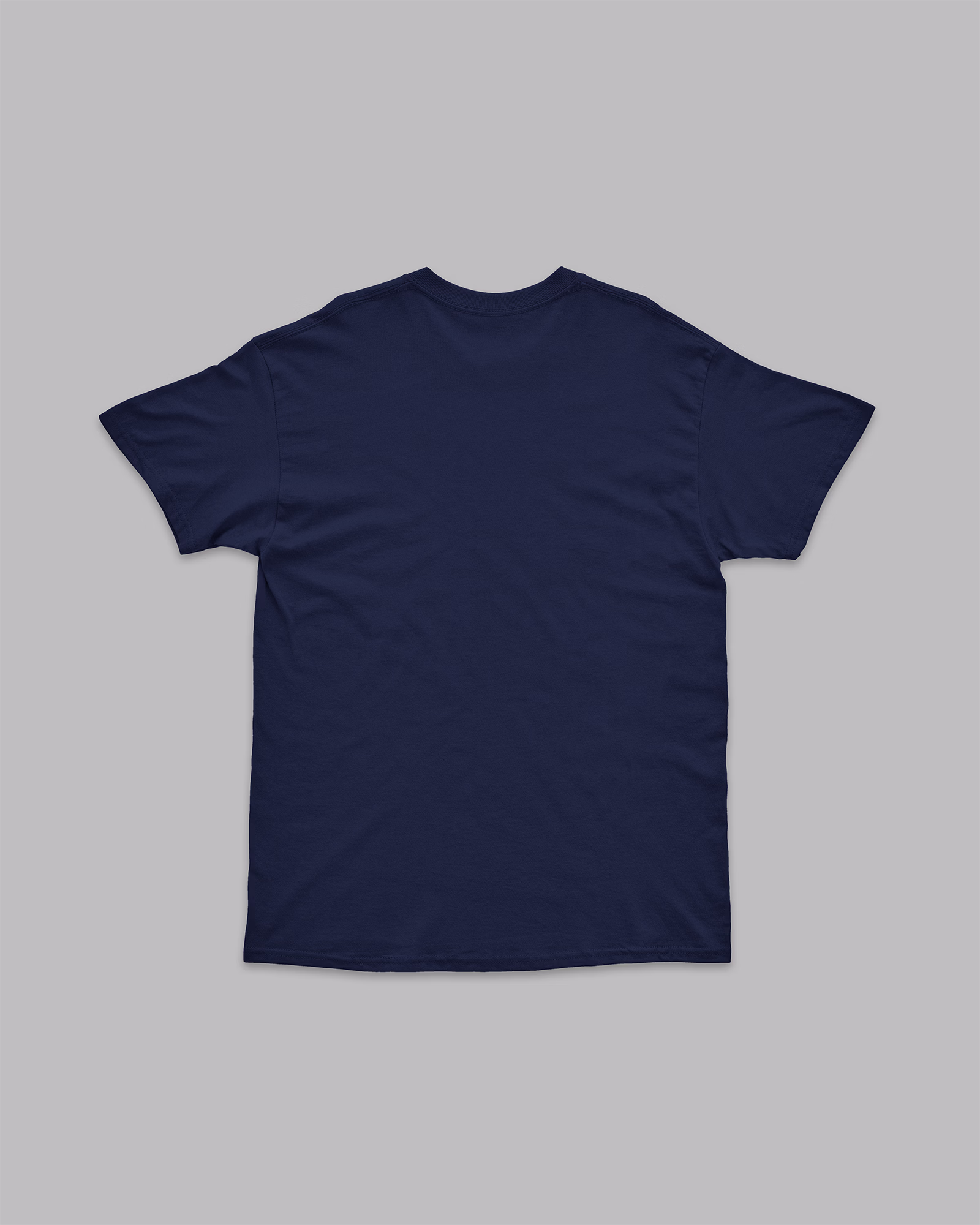 MFT Tee - Blue - Short Sleeve - Back - Flat - v1